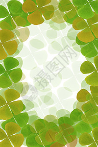 绿色植物框架环境森林卡片插图花园绿色收成照片装饰叶子图片