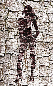 抽象背景女士皮层阴影荒野粮食桦木橡木窗饰植物学木材图片