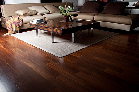 客厅长椅植物富裕工作室木地板房子枕头奢华地毯桌子高清图片