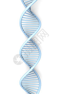 字符串DNA科学克隆遗传学生物考试螺旋细胞卫生癌症保健图片