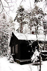 树林里的房子树林里有冰柱的冬季房子风景场景季节雪景小屋仙境天空家园小木屋松树背景