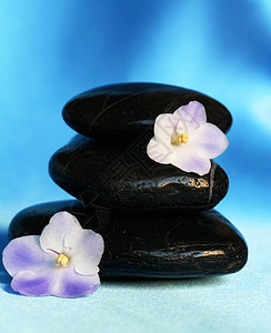 蓝丝绸背景花朵的斯巴石头图片
