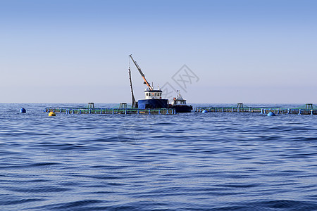 蓝海海平面上的养鱼场植物反射海洋环境海岸养殖海岸线运输天际波浪图片