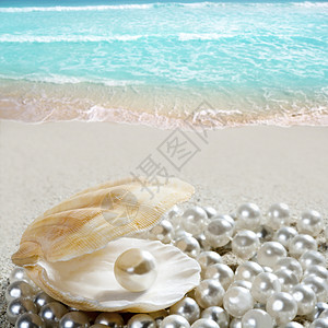 贝壳白沙滩上的加勒比珍珠热带情调反射奢华波浪装饰品假期富裕壳类支撑海滩图片