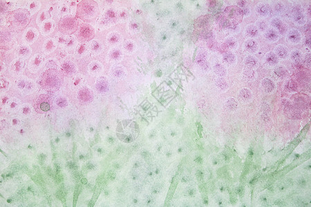 纸质纹理中的水彩花本背景摘要粮食绿色绘画技术帆布艺术创造力正方形粉色框架图片