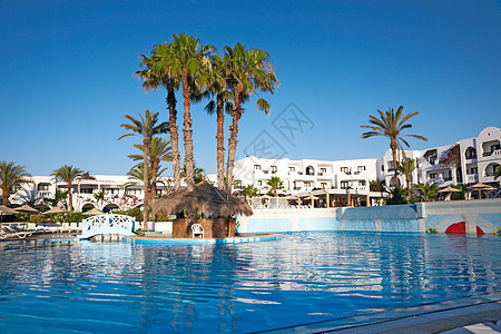 带有棕榈树的游泳池天空阳光蓝色气候遮阳棚奢华水池天堂太阳游客图片