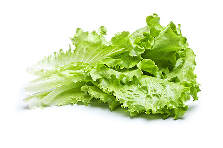 绿色生菜营养长叶冰山花园蔬菜纤维沙拉树叶厨房农业图片