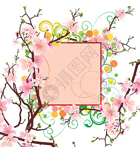 樱花树下春季和夏季矢量花棚草地花瓣装饰装饰品明信片庆典植物群叶子植物邀请函背景