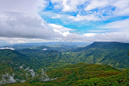 泰国山上喷雾荒野森林植物群旅行天空场景丛林假期花朵海浪图片