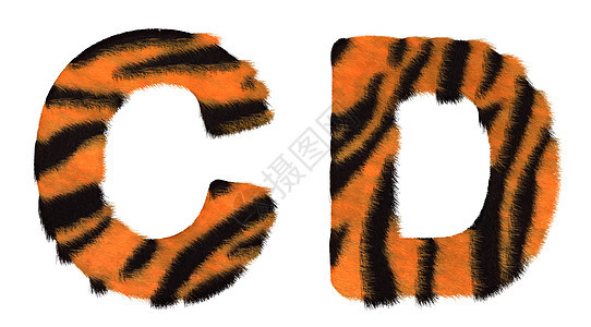 老虎掉下C和D字母孤立背景图片