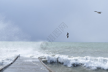 海浪海鸥笼罩着神秘的黑海海浪地平线天空灰色绿色海岸风暴假期舞会多云背景