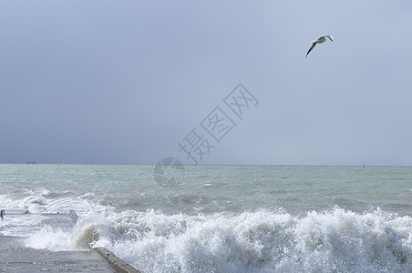 海浪海鸥笼罩着神秘的黑海风暴天空地平线舞会多云石头海岸海浪假期灰色背景