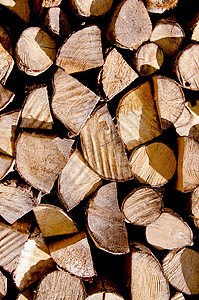 木柴材料烧伤棕色木材树干白色圆圈柴堆木头日志图片