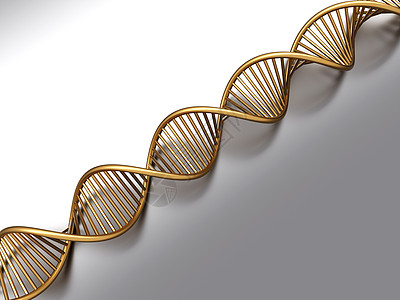 DNA链细胞螺旋基因基因组考试遗传学药品生物插图治愈图片