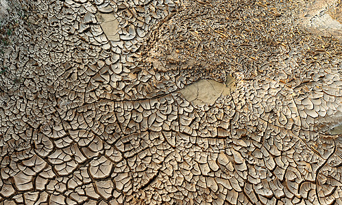 干旱时干泥浆背景图片
