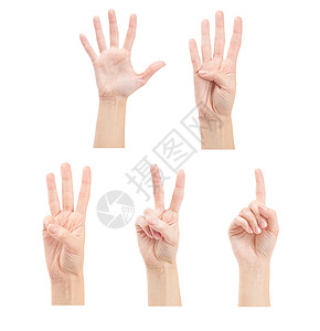 以白色背景隔离的手数妇女1至5人手指拇指棕榈男人学校解决方案数学数数数字团体图片