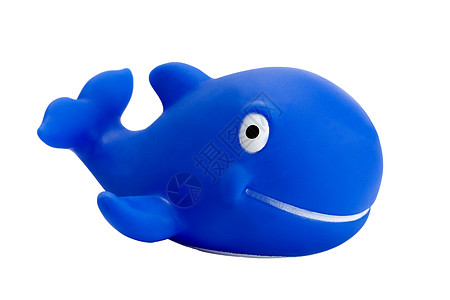鲸鱼玩具宠物蓝色气候盐水白色游泳微笑钓鱼哺乳动物生活图片