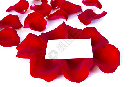 花瓣花朵玫瑰问候语礼物假期卡片脆弱性红色庆典背景图片