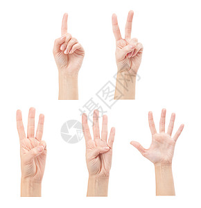 以白色背景隔离的手数妇女1至5人学校男人学习帮助拇指女士数字数数手指棕榈图片