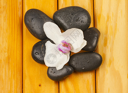 兰花和石头花瓣情调芳香植物群疗法平衡热带生活身体药品图片