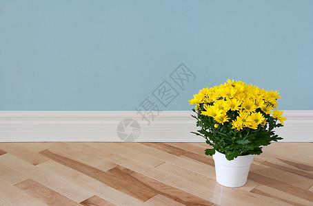 装饰一个房间的黄花菊图片