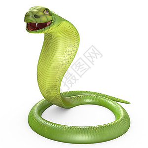 绿眼镜蛇在环圈中弯曲图片