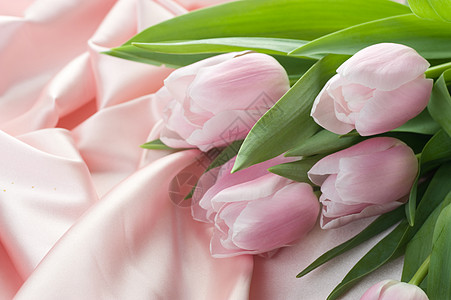 美丽的郁金香和丝绸植物母亲念日边界假期花瓣礼物花朵卡片植物群图片