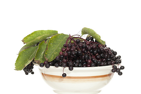 大莓配料食品植物宏观绿色黑色水果浆果叶子植物群图片