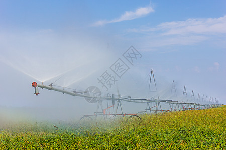为田地供水的设备草地种子灌溉牧场食物摄影工作生长管道场景图片