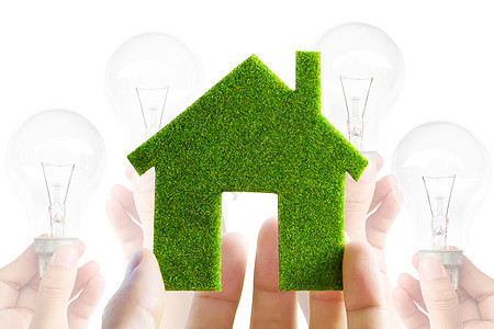 生态室内图标能源概念活力力量绿色财产房子节约灯泡图片