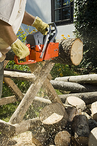 链锯锯末树干樵夫森林灰尘工匠皮革男性林业木头图片