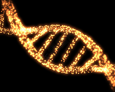 橙色DNA螺旋药店生活原子橙子测试染色体化学生物制药细胞图片