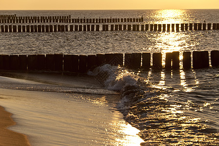 傍晚的海滩木头镜像日落支撑海岸线泡沫牧歌两极海岸反射图片