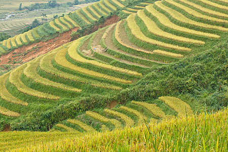 山区的稻米梯田和小屋控制农家叶子生态曲线耕作农场土地地面场地图片