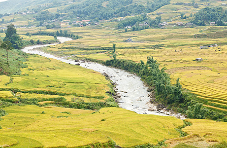 山区的稻米梯田植物食物控制营养种植园培育地球生态成长土壤图片