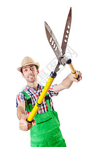 白上剪剪的男子园丁金属园艺园丁男性工作花园季节剪裁夹子手套图片
