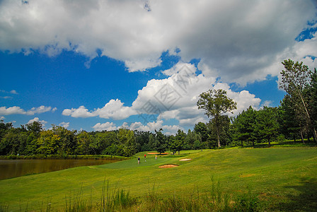 高尔夫球场景旅行杯子课程国家假期竞赛天空爱好退休社会背景图片