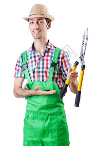 白上剪剪的男子园丁修剪剪刀剪裁园艺植物学工具绿色植物夹子工作男性图片