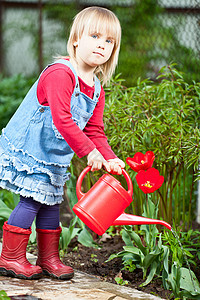 在花园里给孩子浇水的郁金香植物叶子金发植物学生长女孩喷壶牛仔裤院子园艺图片