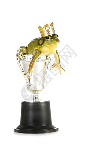 青蛙在奖杯中高清图片