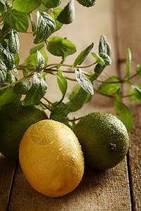 绿石灰 黄柠檬和鲜薄膜圆圈水果柠檬热带工作室薄荷叶子果汁饮食食物图片