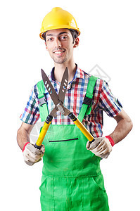 白上剪剪的男子园丁季节工具金属手套男人夹子剪刀植物学植物绿色植物图片