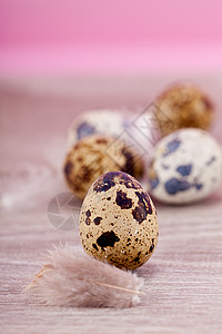 东边装饰 木上配有蛋美食卡片鹌鹑墙纸食物白色斑点熟食蛋壳季节图片