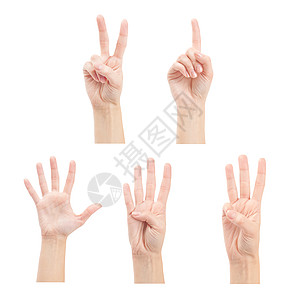 以白色背景隔离的手数妇女1至5人女孩拇指数数学习教育收藏手势数学帮助手指图片