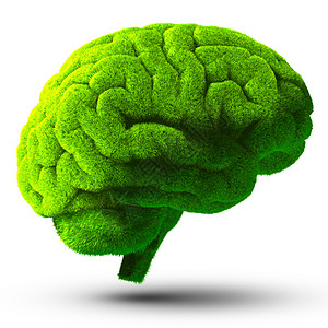 绿色大脑创造力叶子力量生物艺术思维记忆生长思考智力图片