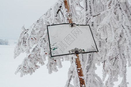 有空符号的雪树图片