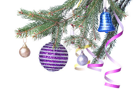 圣诞球和在Fir树枝上装饰的装饰惊喜季节装饰品流光庆典假期风格紫色狂欢丝带图片