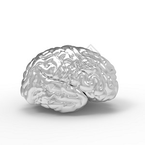 人类大脑3D模型 孤立扁形髓质神经智力记忆心理学插图心理解剖学小脑图片