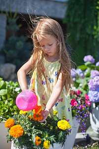 小小孩女孩用水罐给花浇鲜花花园生活女孩园艺孩子裙子牛仔裤植物学喷壶场地图片