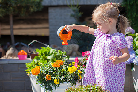 可爱的小女孩 用水罐子浇鲜花爱好植物学花园喷壶牛仔裤植物裙子女孩院子园艺图片